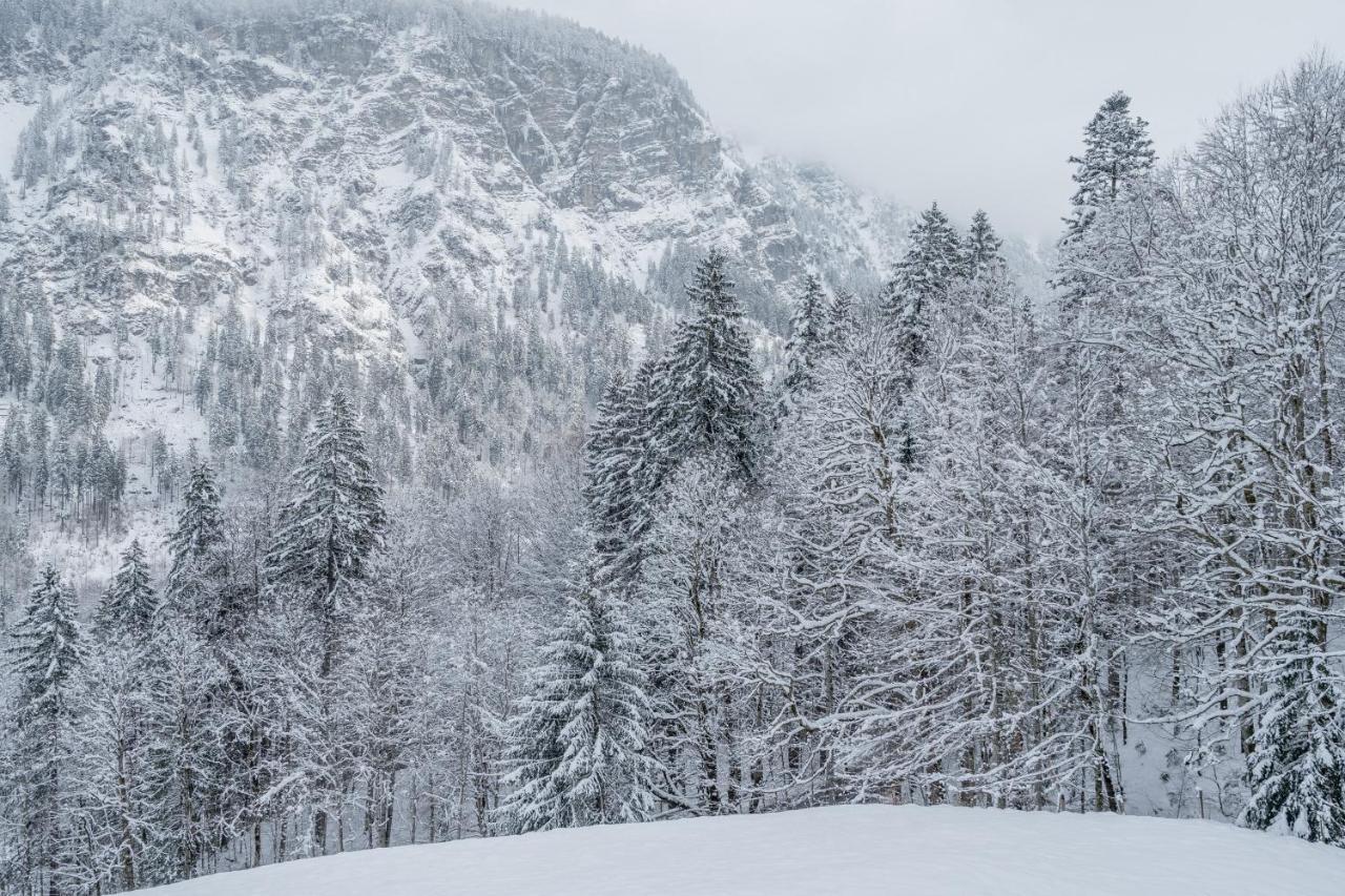Waldgut Lejlighed Oberstdorf Eksteriør billede